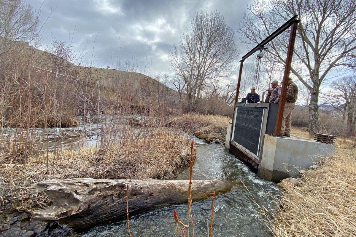 Trout Creek is a tributary to the North Fork Shoshone River and a spawning stream for about 300 rainbow trout pairs every spring. To keep the fish from entering irrigation canals, the Trout Creek Ranch has experimented with a number of fish screening devices.  (Brett French/Billings Gazette)