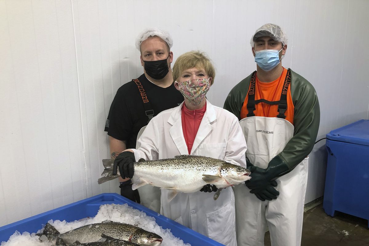 AquaBounty Technologies Inc. CEO Sylvia Wulf poses for a photo with processing associates Skyler Miller, back left, and Jacob Clawson with genetically modified salmon from the company’s indoor aquaculture farm, Wednesday in Albany, Ind. These are the first such altered animal to be cleared for human consumption in the United States.  (HONS)