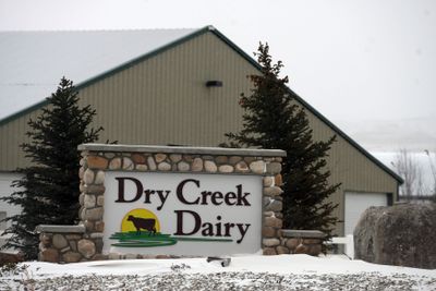 Dry Creek Dairy is a Bettencourt dairy southwest of Murtaugh, Idaho. (Associated Press / The Spokesman-Review)
