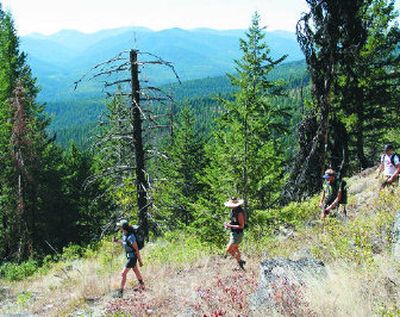 
Crystal Gartner of Conservation Northwest leads a group of 24 hikers through a roadless portion of the Colville National Forest in August. The conservation group is seeking wilderness status for several roadless areas in the Kettle River Range. 
 (Rich Landers / The Spokesman-Review)