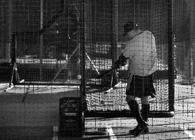 
Yankees players took their hacks Friday at the team's spring training complex. 
 (Associated Press / The Spokesman-Review)