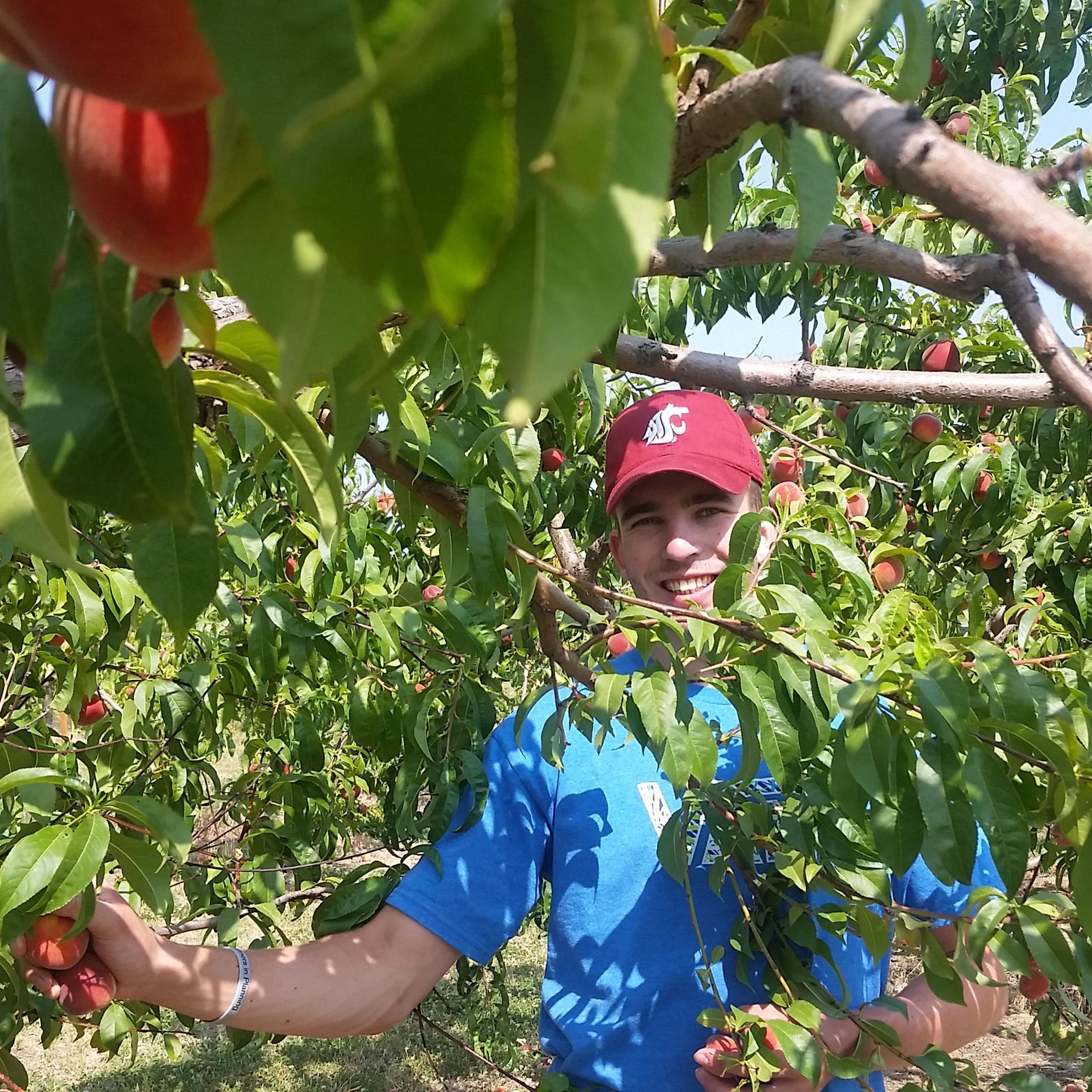 What We Do — Spokane Edible Tree Project