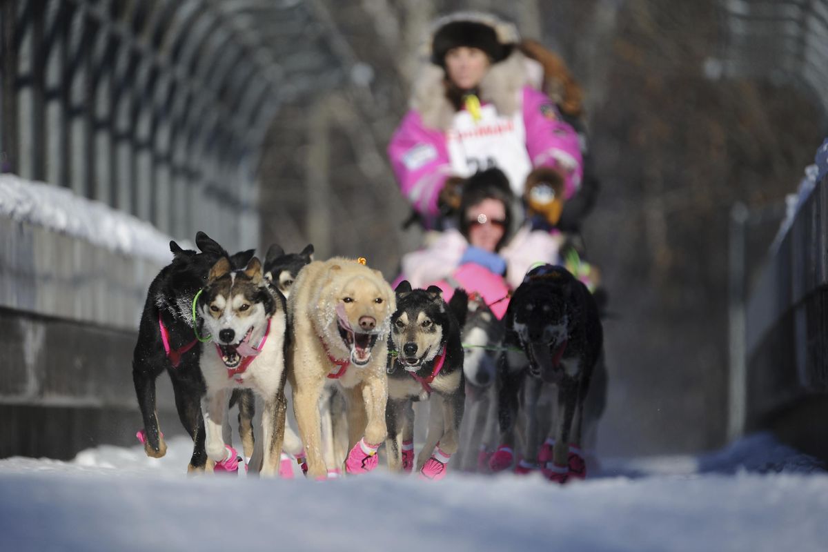 Dee Dee Jonrowe, of Willow, mushes during the ceremonial start of the Iditarod Trail Sled Dog Race in Anchorage, Alaska, Saturday, March 4, 2017. (Michael Dinneen / Associated Press)