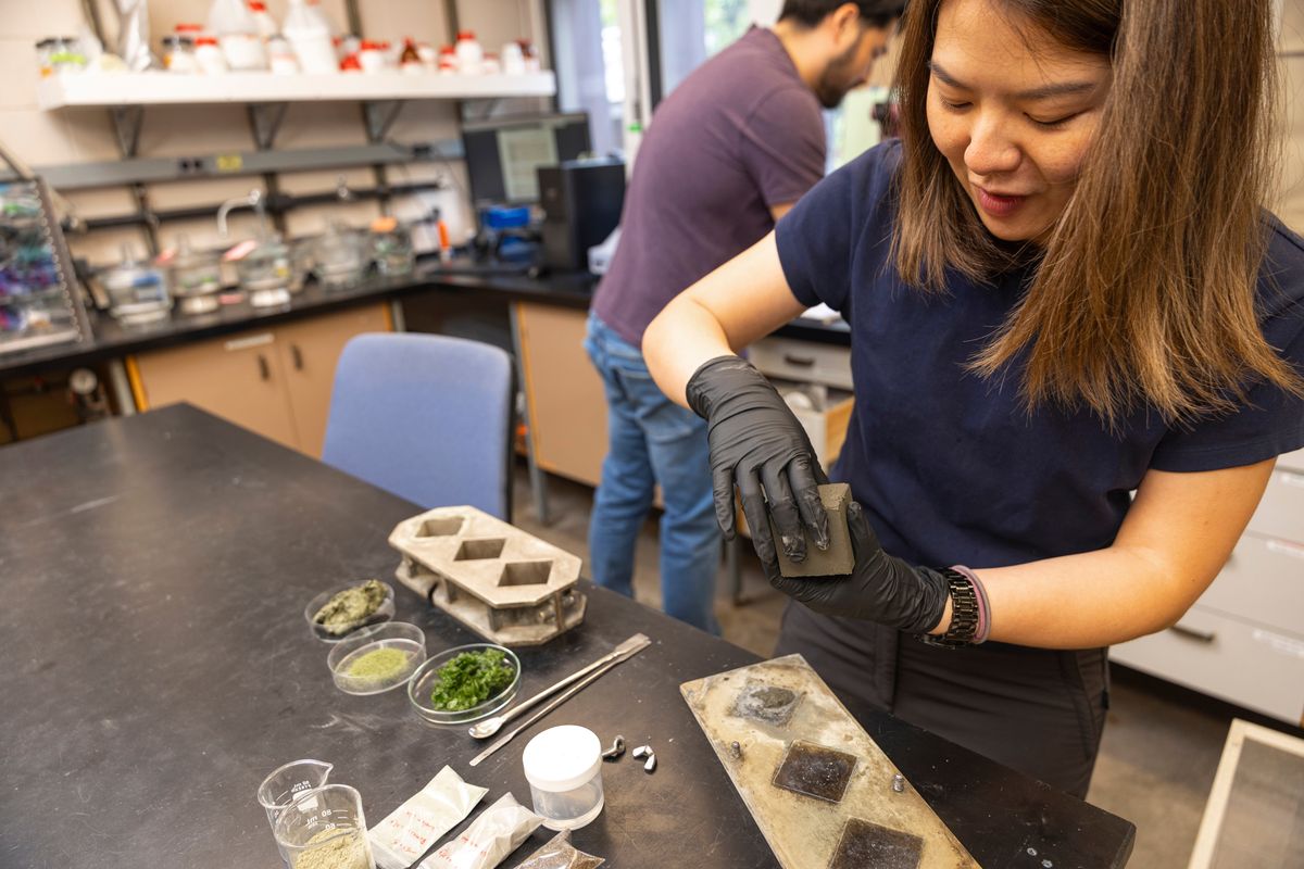 UW doctoral student Meng-Yen Lin holds a cement cube containing 5% seaweed.  (Mark Stone/University of Washington)