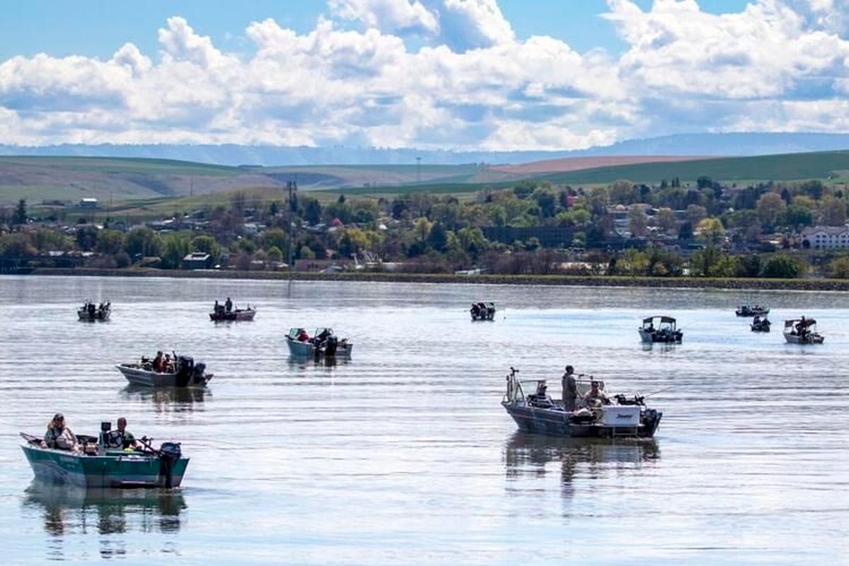 Nez Perce Tribe to use gill nets on Clearwater River