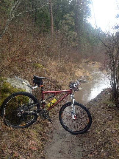A mountain bike on the Little Vietnam trail in Riverside State Park, which is being inundated by the Spokane River swollen with spring runoff. (Daniel DeRuyter)