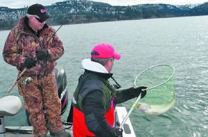 
Bob Ploof nets a chunky walleye for fishing partner John Carruth so the fish can be unhooked and released back into Lake Roosevelt.
 (Rich Landers / The Spokesman-Review)