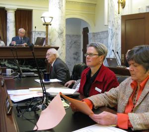 Sen Nicole LeFavour, D-Boise, center, tried a last-minute motion on Thursday to shift funds to fill budget holes that JFAC left in adult cystic fibrosis, Medicaid, substance abuse treatment and more, but she was ruled out of order. (Betsy Russell)