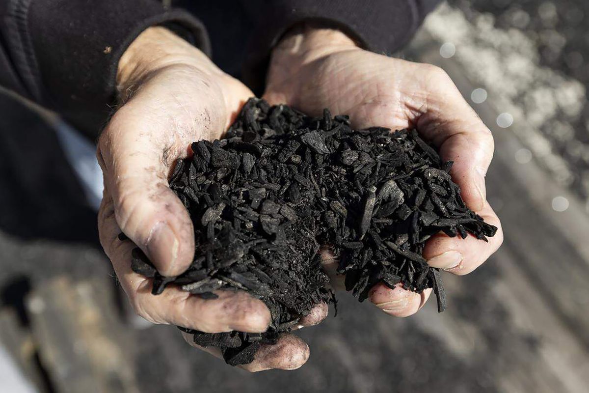 Clean Earth Innovations CEO Harold Gubnitsky holds biochar during the opening of his company’s pilot biochar program at the South Dade Landfill on Friday in Homestead, Fla.  (Miami Herald)