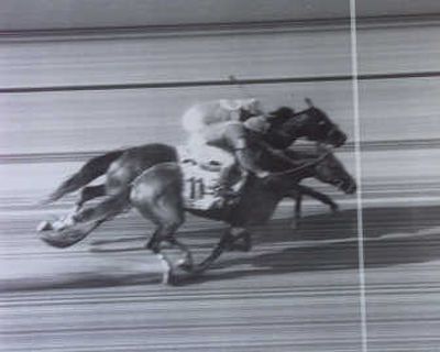 
Associated Press The 130th Belmont Stakes on June 6, 1998, was a photo finish with Victory Gallop, foreground, and Gary Stevens nosing out Kentucky Derby and Preakness winner Real Quiet and Kent Desormeaux.
 (File Associated Press / The Spokesman-Review)