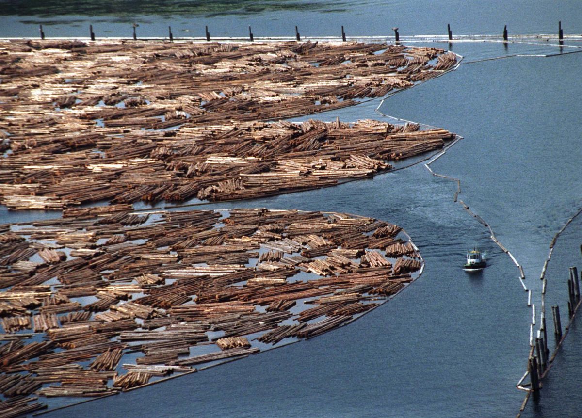 For 90 years, North Idaho Maritime and its predecessors leased acreage in the bay to store logs cut in the St. Joe River drainage.  (File / The Spokesman-Review)