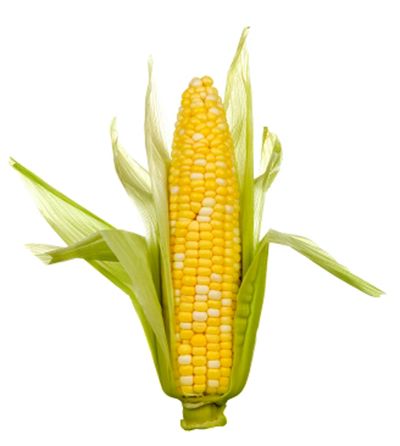 Corn gets some bashing over its nutritional benefits, but it does have some positive qualities. (The Spokesman-Review)