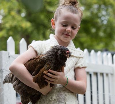 Nevaeh Laskey, 8, of Coeur d'Alene, holds Miss Henny Penny the chicken on Thursday in Laskey's backyard of her Coeur d'Alene home. Laskey formed an unlikely bond with the chicken and now they are friends for life. (Katie Hartwig/Coeur d'Alene Press photo)