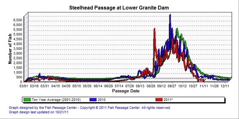 Steelhead over Lower Granite Dam on the Snake River. (Fish Passage Center)