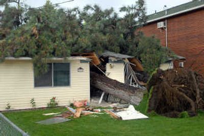 
Two large trees cut through Jody Krisher's home in Coeur d'Alene during the storm Friday afternoon.
 (Jesse Tinsley / The Spokesman-Review)