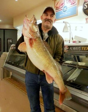 John Grubenhoff of Pasco caught this 20.32-pound walleye on Feb. 28 in the Columbia River near the Tri-Cities. On March 5, 2014, the Washington Department of Fish and Wildlife confirmed the fish as a state record.  (Jacob Grubenhoff)