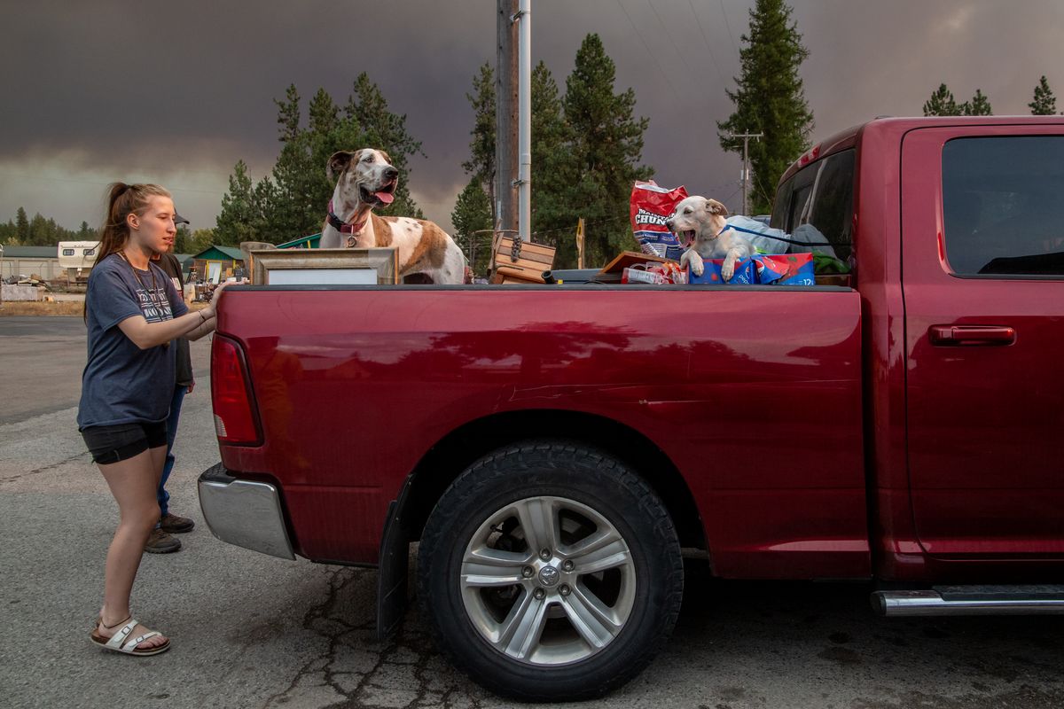 Hannah Roach, 18, checks on the dogs in a truck bed while evacuating the Ford Corkscrew fire at Loon Lake in August 2021. (Spokesman-Review photo archive)