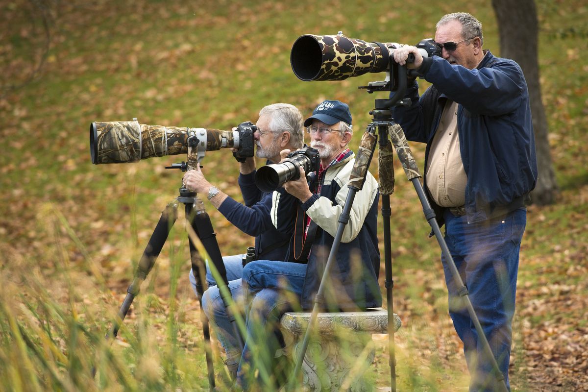 Amateur photographers, left to right, Tom Munson, Phill Bryant and Jon Zimmerman keep a watchful eye on the water fowl and fall colors from the edge of Cannon Hill Pond Monday, Oct 20, 2014. The men, all retired, enjoy spending time photographing nature and landscapes through their high-powered telephoto lenses. (Colin Mulvany / The Spokesman_Review)