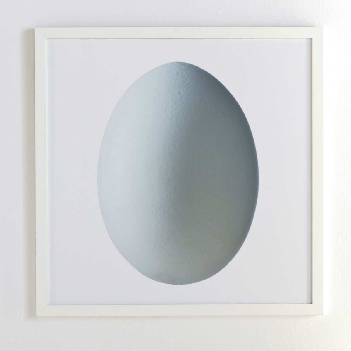 An egg rendering from Wisteria, top, and the Ramirez Conch Profile print by Ana Ramirez.