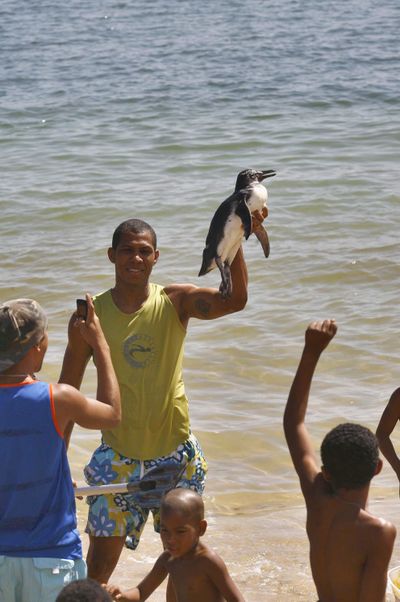 Francisco de Assis holds up a penguin last week  in Salvador, northeastern Brazil.  (Associated Press / The Spokesman-Review)