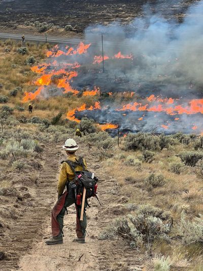 Department of Natural Resources Hand Crew 411 conducts a burnout operation on Division Kilo near the Vantage Highway fire’s origin area on Aug. 1.  (Courtesy of  Bryan Lyle of the Southeast Washington Interagency Incident Management Team)