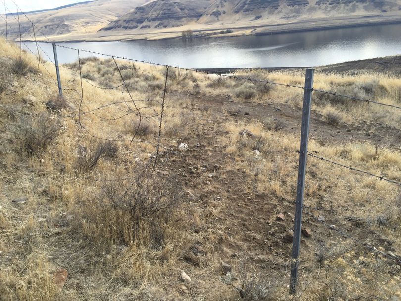 A vandalized barbed-wire fence along the Snake River in Washington. (Eric Wesselman)