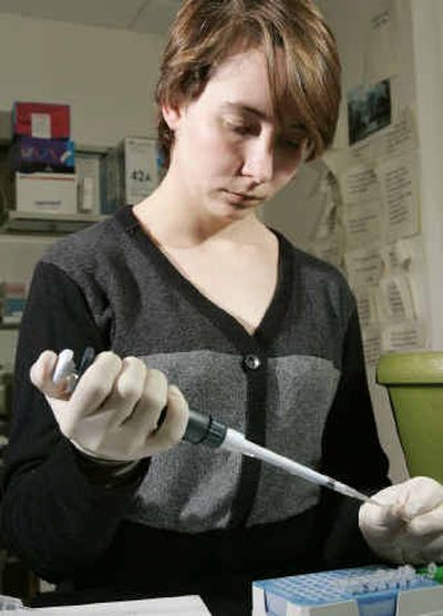 
Pamela Prince, a research associate at a University of Wisconsin-Madison laboratory, uses a Gilson adjustable pipette.
 (Associated Press / The Spokesman-Review)