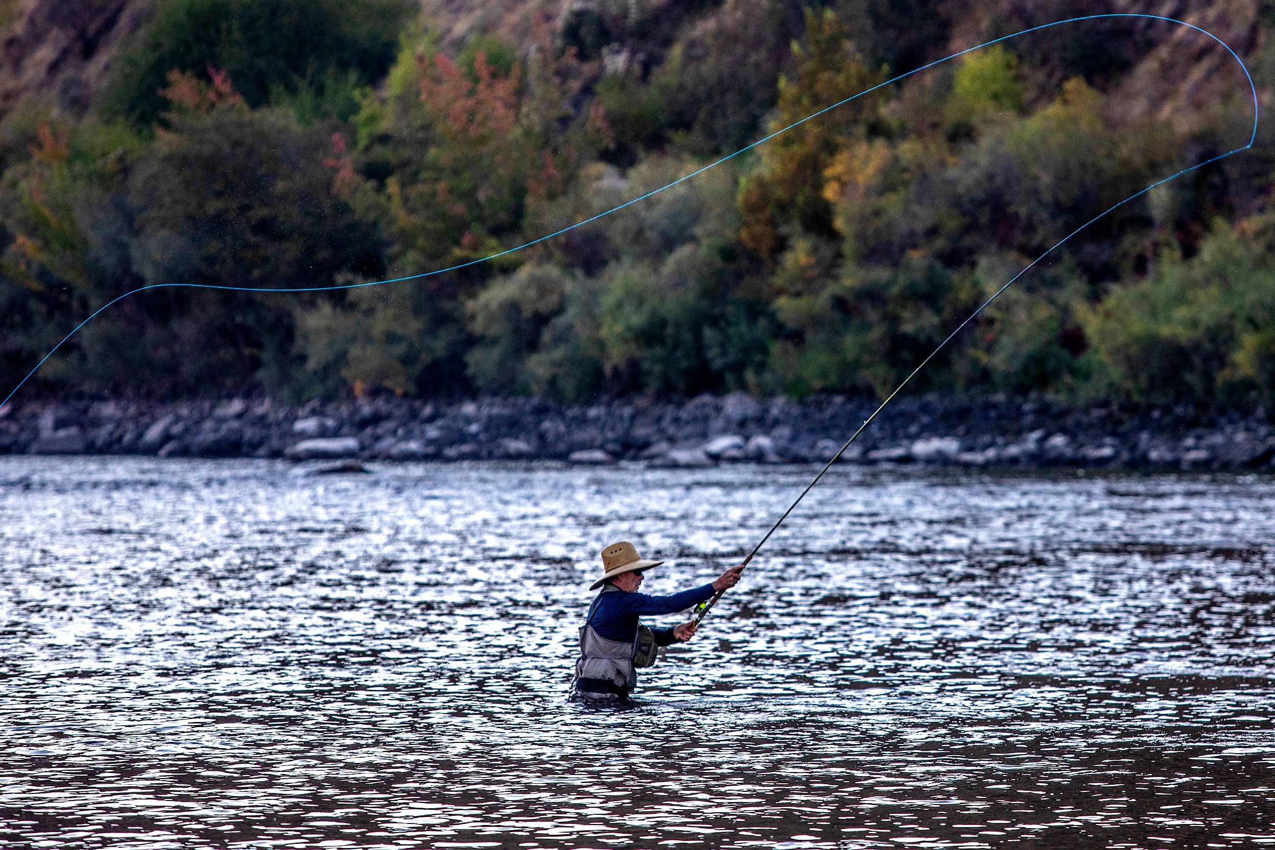 Snake River steelhead runs story in contrast as A-run tanks and B-run ...