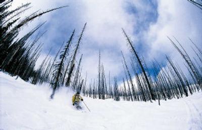 
Jaime Pierre tackles a pristine slope in Chatter Creek, B.C., in Warren Miller's latest film, 