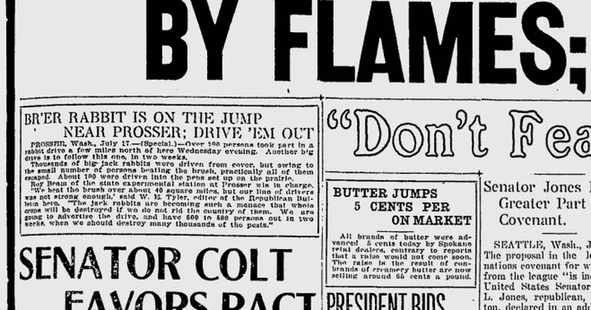 100 years ago in Spokane: Rabbit roundup near Prosser