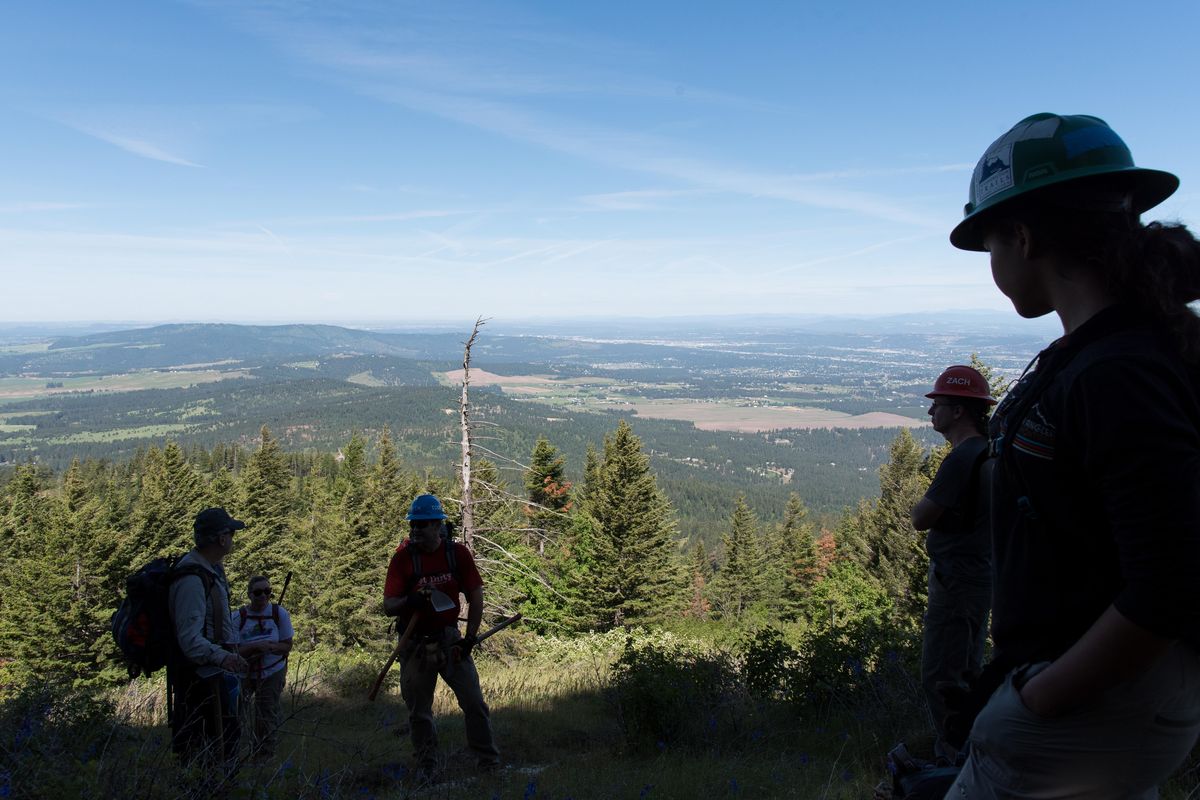 Washington Trail Association volunteers take in the view from Mica Peak on Sunday June 3, 2018. The peak is nearly as tall as Mount Spokane and features views of the Palouse, Spokane Valley and the Saltese Flats. Washington Trail Association volunteers have started building single-track trails that will eventually connect several old logging roads on Mica Peak. (Eli Francovich / The Spokesman-Review)