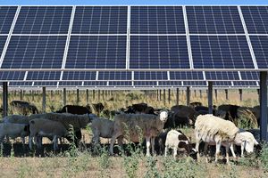 Commentary: Bridging the red-blue divide on climate - Sat, 18 Oct 2025 PST