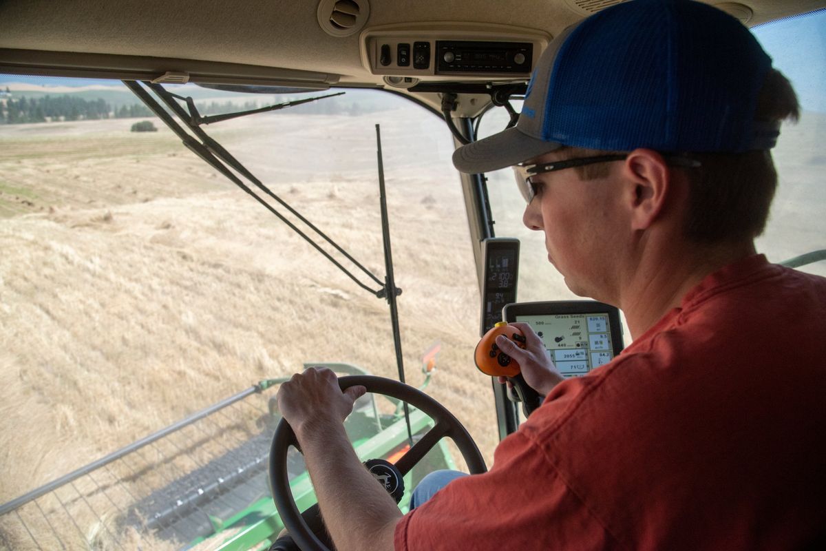 Jordan Green pilots a combine and harvests grass seed near Fairfield, Washington Tuesday, Aug. 2, 2022. His parents, Lonnie and Marci Green, are longtime farmers and he and his brother Derek plan to take over the farm someday.  (Jesse Tinsley/The Spokesman-Review)