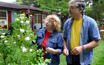 
Lucy Emily Dubraque and her husband, Nabril, of Manassas, Va., carefully cultivate a single large rosa centifolia bush in their front yard. For Lucy Dubraque, it is a living connection to the Civil War and to her family.
 (Washington Post photo / The Spokesman-Review)
