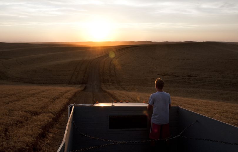 Noah Beach, 12, rides in the bed of a wheat truck as the sun sets, heading to pick up another load of grain cut by his grandfather Dick Schu and uncle Ryan Schu on Monday night near Oakesdale, Wash. The Schu family grows wheat on 1,500 acres. (Tyler Tjomsland)