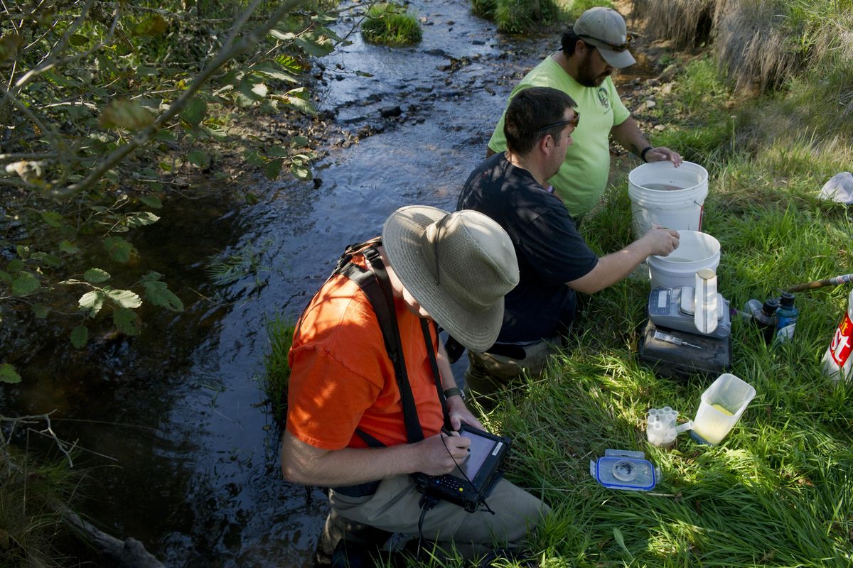 Fisheries technicians Eric Hendrickson,  Bryan Harper, center, and Jason Smith, top, who are members of the Coeur d’Alene Tribe, measure and tag cutthroat trout near Plummer, Idaho, in this 2013 photo. (Tyler Tjomsland / The Spokesman-Review)
