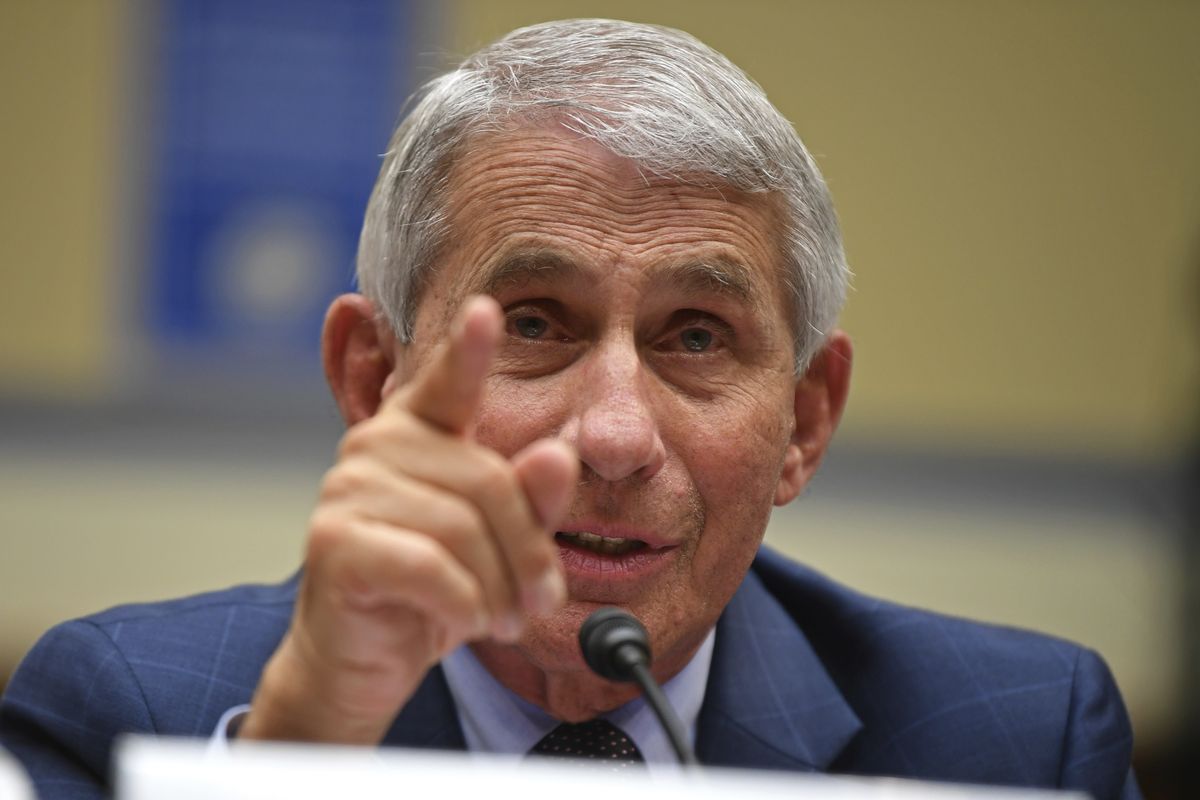 Dr. Anthony Fauci, director of the National Institute for Allergy and Infectious Diseases, testifies during a House Subcommittee hearing on the Coronavirus crisis, Friday, July 31, 2020 on Capitol Hill in Washington.  (Kevin Dietsch)