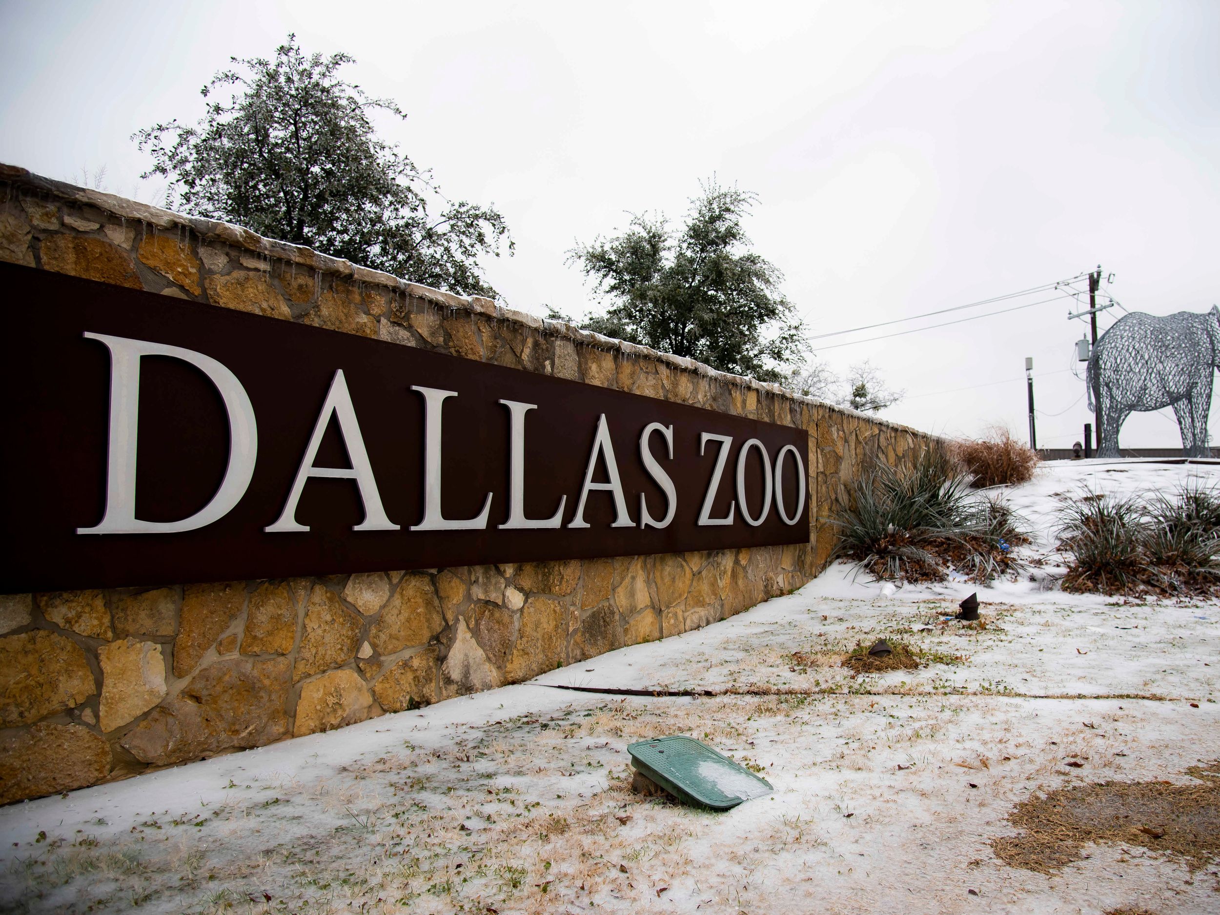 2 Monkeys Are Apparently Taken From Dallas Zoo in Latest Bizarre