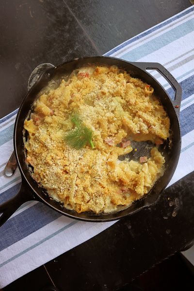 Mac and cheese gets an elegant upgrade with braised fennel, Swiss and chunks of ham.  (Gretchen McKay/Pittsburgh Post-Gazette)