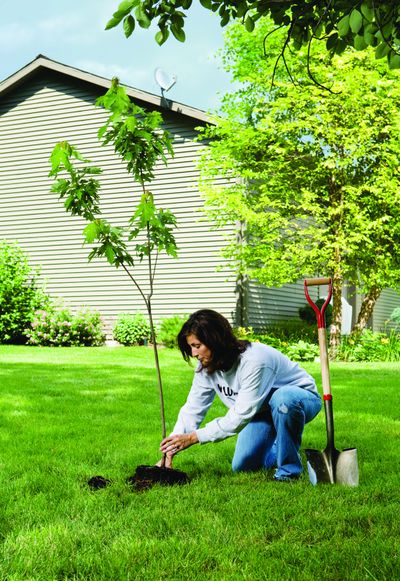Along with traditional celebrations of Green via St. Patrick’s Day, revelers are encouraged to think of the new Green – sustainable ways to minimize their impact on the planet. (The Spokesman-Review)