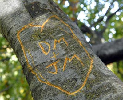
Newly carved initials stand out against the bark of a tree near Finch Arboretum.
 (The Spokesman-Review)