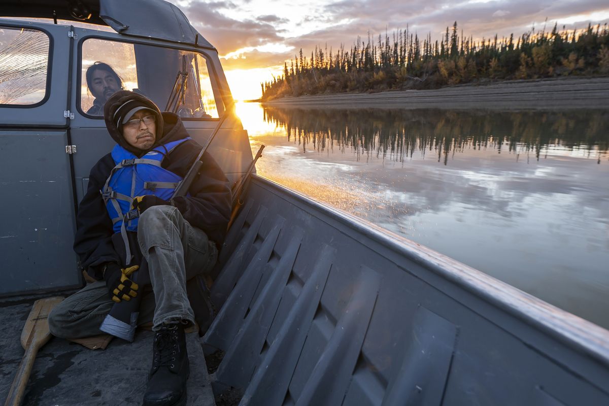 Michael Williams scans the shoreline for moose while traveling up the Yukon River on Tuesday Sept. 14 near Stevens Village, Alaska.  (Nathan Howard)