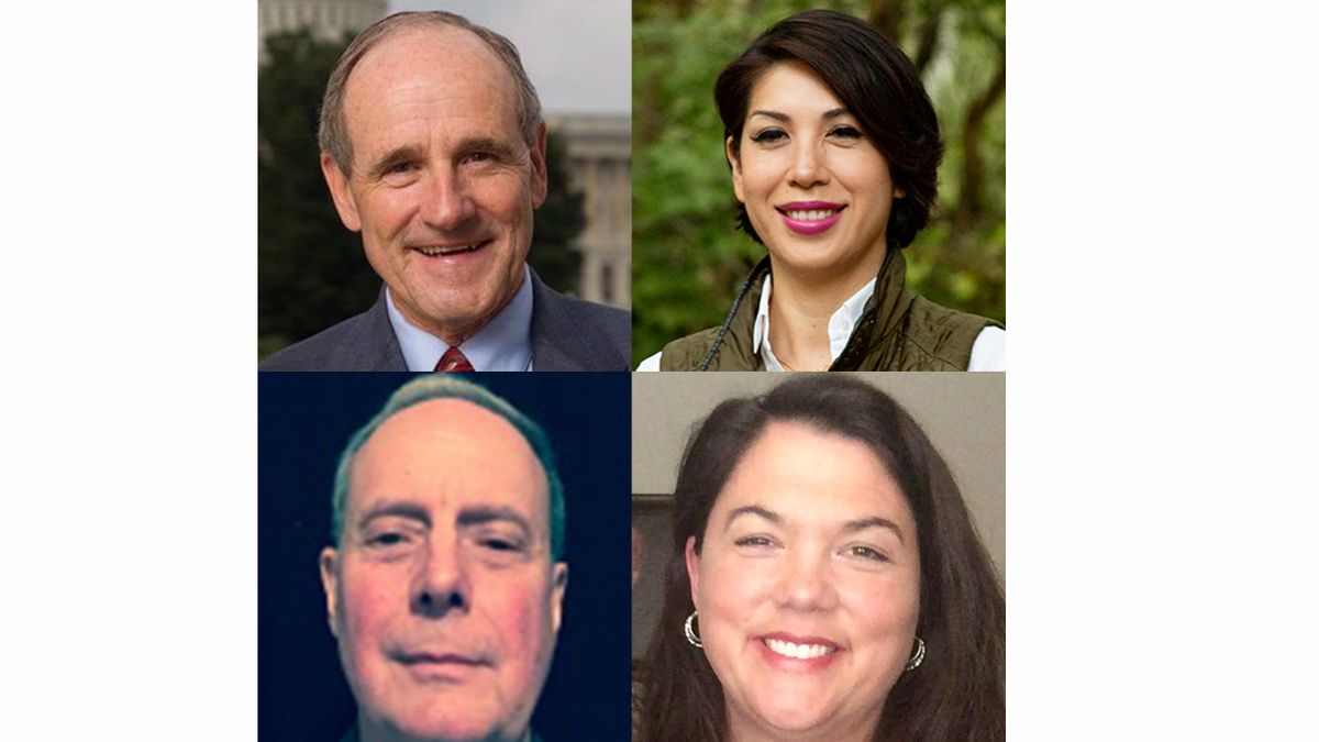 Republican incumbent U.S. Sen. Jim Risch, top left, faces Democrat Paulette Jordan, top right, Constitution Party candidate Ray Writz, bottom left, and independent Natalie Fleming, bottom right, in Risch’s re-election bid on Idaho’s November 2020 ballot. 
