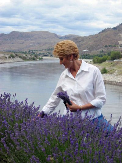 
Beverly Smick picks lavender in her garden on the banks of the Columbia River. 
 (The Spokesman-Review)