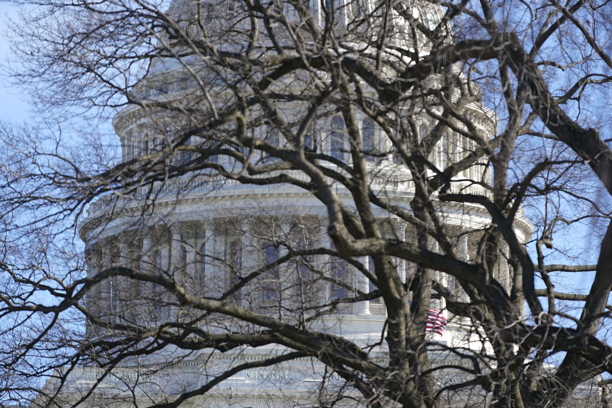 The U.S. Capitol dome stands above bare tree branches, Saturday, Jan. 9, 2021, in Washington.  (Patrick Semansky)