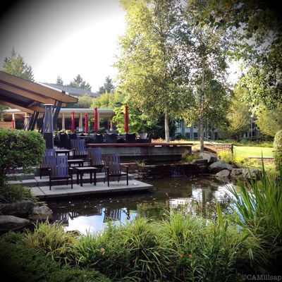 Just minutes from SeaTac airport, Cedarbrook Lodge sits on 18 wooded acres that include a restored wetland. (Cheryl-Anne Millsap / Photo by Cheryl-Anne Millsap)