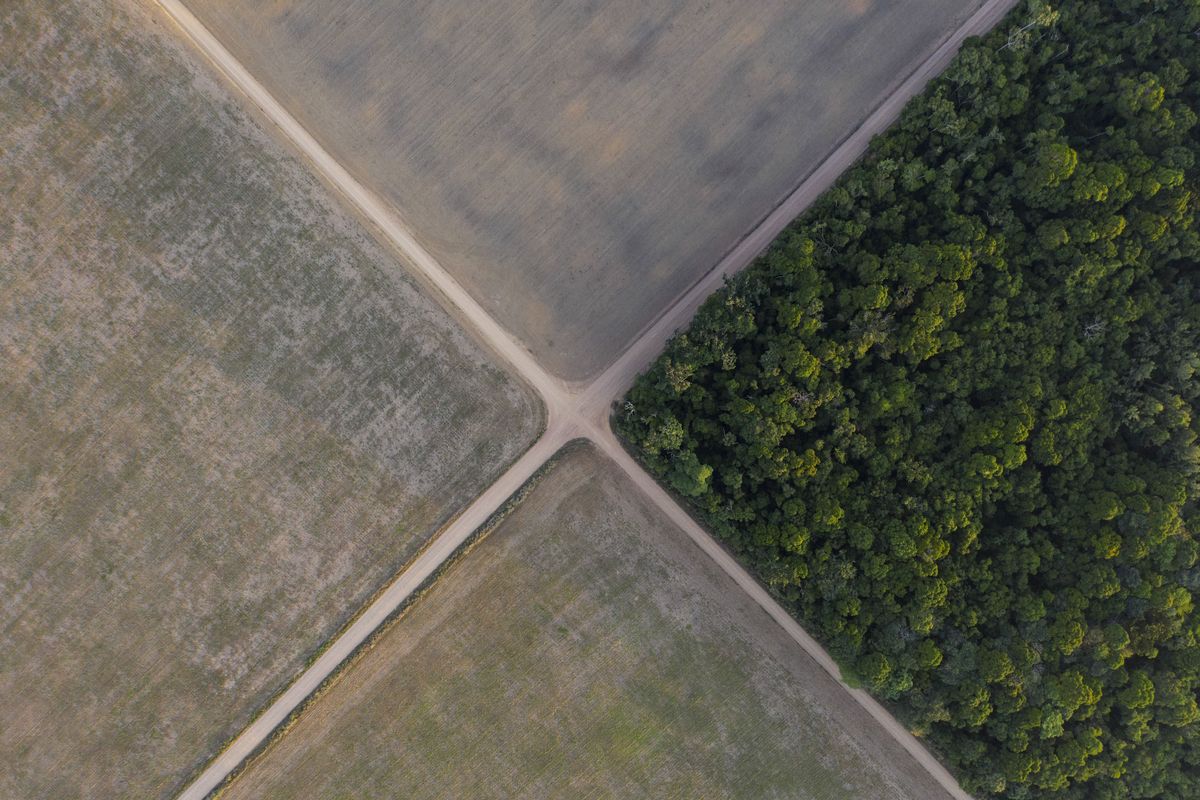 FILE - In this Nov. 30, 2019 file photo, a fragment of Amazon rainforest stands next to soy fields in Belterra, Para state, Brazil. President Jair Bolsonaro has signed on Monday, June 28, 2021, a decree to dispatch soldiers to the Amazon in a bid to curb surging deforestation, just two months after withdrawing troops from the region.  (Leo Correa)
