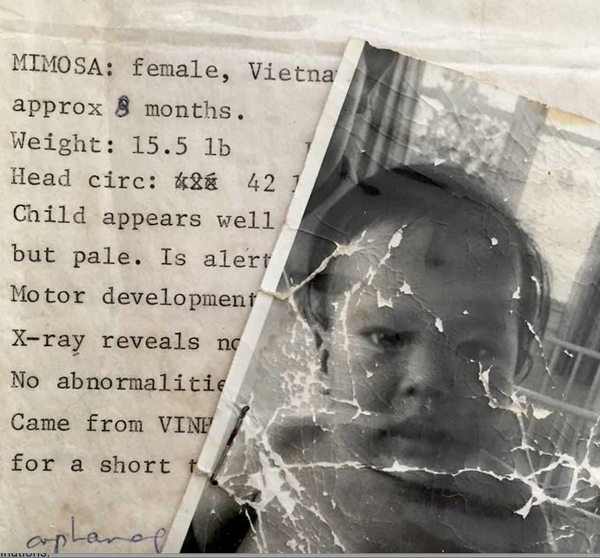 Devaki Murch, who was one of the babies who survived the tragic crash of the first Operation Babylift flight out of Saigon on April 4, 1975, found her adoption records in a basement in Colorado and is trying to connect dozens of people who survived the accident and went on to be adopted in the United States with the records of their past. 