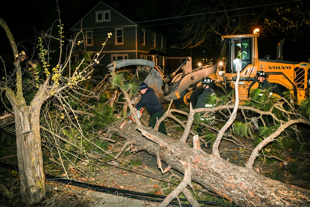 City crews and firefighters work to clear a fallen tree blocking Bernard Street at 22nd Avenue on Monday in Spokane. Strong winds toppled the pine tree, taking down utility lines and just missing a car.  (DAN PELLE/THE SPOKESMAN-REVIEW)