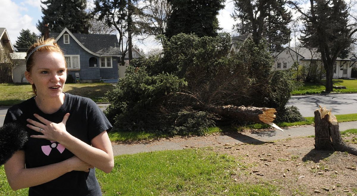 Korina Zimmerman, 23, thought she heard garbage cans crashing in the wind, but it was her 40 foot spruce tree snapping and blocking Wall Street near Rockwell as high winds toppled trees in the area on April 8, 2010. Zimmerman was thankful the tree fell into the street and not the house. "My 4 month-old daughter is inside," she said. (Dan Pelle)